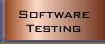 Software Testing